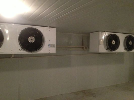 des unités de réfrigération plus fraîches de 20m2 R404A, petit entreposage au froid