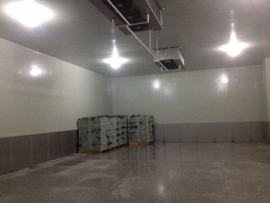 des unités de réfrigération plus fraîches de 20m2 R404A, petit entreposage au froid